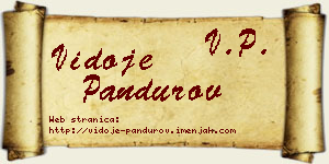 Vidoje Pandurov vizit kartica